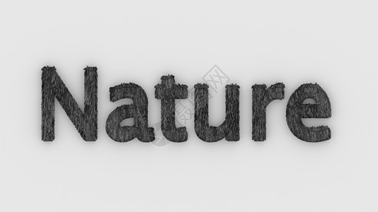 自然-白色背景上的 3d 字灰色 新鲜的草字母孤立的插图 自然动物和母亲 生态系统和环境 森林 生物 3d 渲染模板横幅的高质量图片