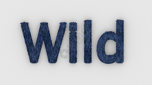 野生-白色背景上的 3d 字蓝色 渲染毛茸茸的字母 头发 荒野毛皮 会徽标志设计模板 野生动物 感觉和关系 大自然的野兽图片