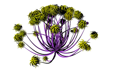 带花茎和花朵的多彩花束问候语花海植物圆形图片