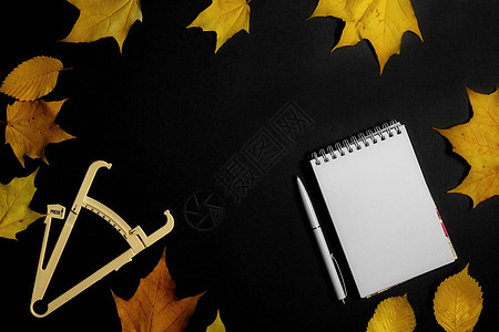 Autumn 落叶 卡利帕和黑背景笔记本图片