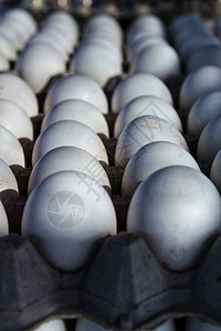 市场摊位上的白新鲜鸡蛋烹饪奶制品食物母鸡蛋壳产品蛋白食品阴影早餐图片