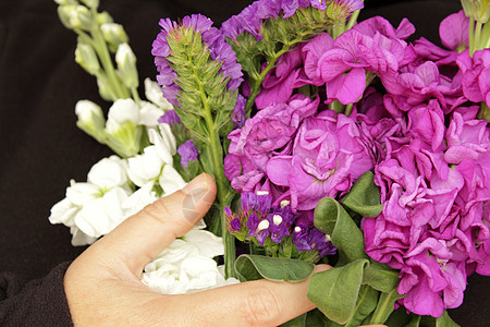 妇女节送百合花和蜡菊花 笔记本上的快乐妇女节消息自然日女性花瓣卡片叶子庆典书法纸条花束假期背景图片