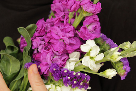 妇女节送百合花和蜡菊花 笔记本上的快乐妇女节消息植物群花瓣书法庆典紫色卡片花束女性礼物自由图片