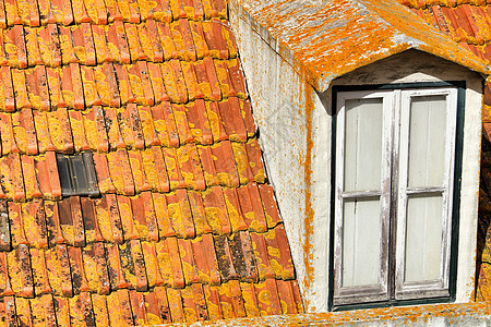里斯本的古老多彩色橙色花旗屋顶建筑学窗户古董建筑瓷砖历史性橙子单板公寓财产图片