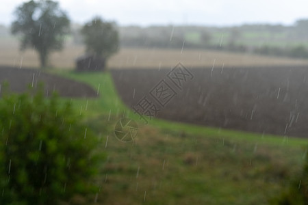 恶劣天气下大雨 在全国草原上暴雨水弹地平线天空森林阴影场地雨滴草地土地太阳图片