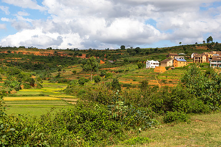 绿地和绿地的景观照照照 西南丛林旅行风景旅游植物森林荒野高原天空公园图片