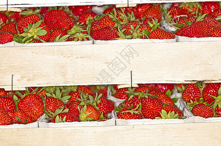 草莓季节浆果饮食库存营养食物果汁甜点美食水果图片