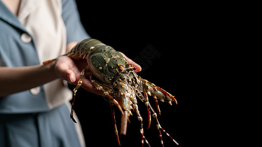 女人手里的新鲜生龙虾 小龙虾野生动物烹饪钓鱼餐厅美食荒野海鲜甲壳营养市场图片