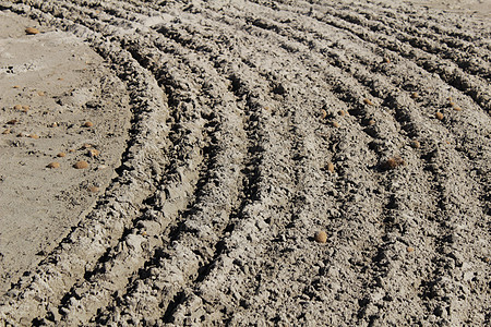 beac 上的沙纹纹理形状土块天堂地形粮食螺旋旅行土地海岸沙丘图片
