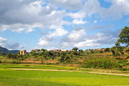 马达加斯加岛上当地人家园的居住区天空贫困热带女士农村旅行农业村庄小屋街道图片