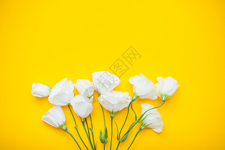 在明亮的黄色背景下 白色枯叶花朵变色 布局花束装饰平铺风格美丽植物群压痛框架婚礼明信片图片
