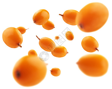 白色背景的海角浆果悬浮在白色背景上水果草本植物团体食物飞行衬套植物营养航班橙子图片