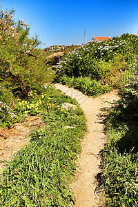 Azenhas的绿色植被之间的路径公园呼吸花朵灌木植物群风景小路草地蓝天花园图片