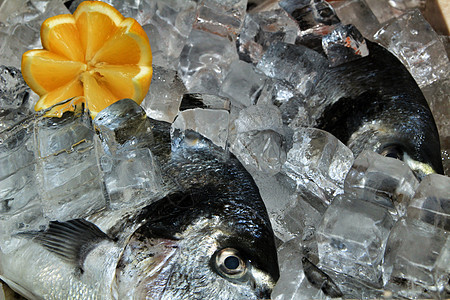 有冰的鲜鱼出售食物海鲜架子海洋市场烹饪渔业钓鱼镀金头鲭鱼图片
