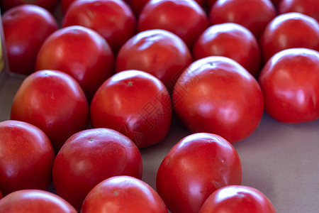 农民市场红番茄高角视图(Red Tomato)图片