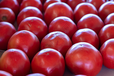 红番茄在农民市场上的行图片