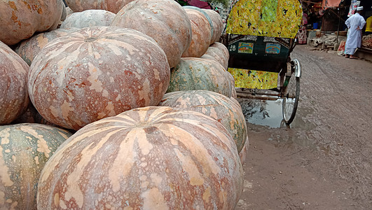 市场上的新鲜健康南瓜假期庆典生产收成农业农场食物水果蔬菜季节图片