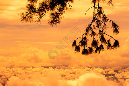 日落天空的美丽风景 山顶有云旅行戏剧性场景薄雾晴天假期森林天堂天空生态图片