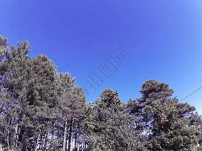 意大利秋季水果热带全景假期旅游异国食物情调植物海滩图片