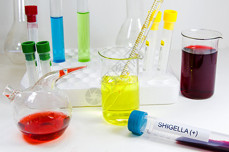 Shigella细菌 血液测试管样本 阳性检测诊断图片