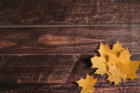 黄色的秋天枫叶躺在棕色的木质背景上 秋天的背景 9 月 10 月 11 月 干燥的秋叶 落叶 copyspace flatlay图片