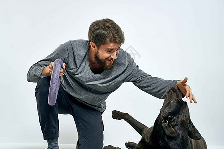 有养狗训练灰色戒指的人 做宠物锻炼的浅薄背景长椅成人想像力公寓乐趣朋友活动娱乐微笑男性图片