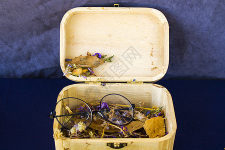 秋天主题集 盒箱和干鲜花和植物太阳镜花瓣收藏植物学季节叶子回忆橙子阅读刻字图片