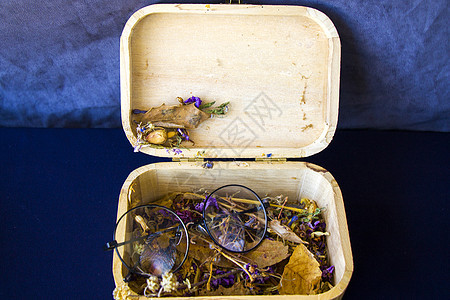 秋天主题集 盒箱和干鲜花和植物荒野野花宏观回忆收藏刻字阅读风化植物学花朵图片