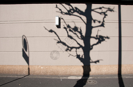 在东京的棕墙上 砍草树和交通标志图片