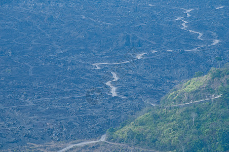 巴厘山阿贡火山附近的湿地深森林图片