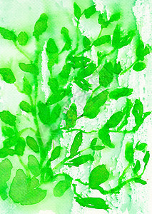 纸质纸质上绿色叶子的水彩画背景图片