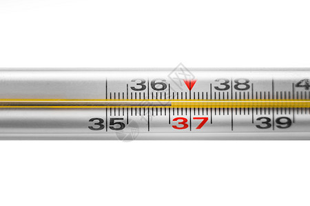 汞温度计显示的是正常的人类温度36 6流感身体补给品乐器仪表医生病人医院摄氏度玻璃图片