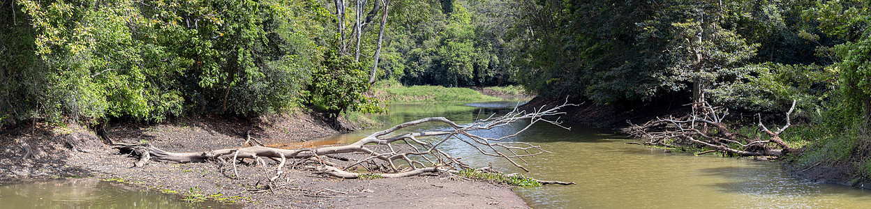 在布杜鲁瓦加拉的风景下 河岸干涸死亡树木图片