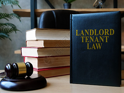 房东租户法书在律师服务台上图片