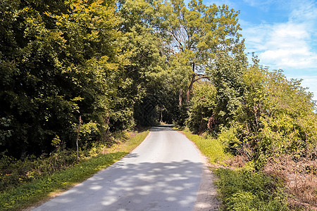 乡村道路的美丽风景 期间有树木和田地旅行农业森林远足天空曲线季节草地小路国家图片