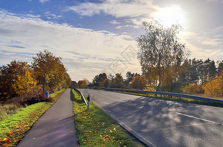 乡村道路的美丽风景 期间有树木和田地农田叶子运输人行道远足公园沥青曲线农村小路图片
