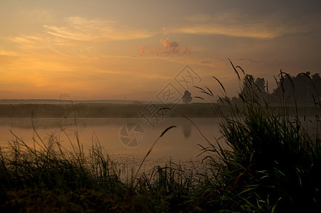 日落时的湖 沿海草和树木 水上的夕阳照亮游览日出海岸蓝色地平线公园热带支撑反射旅游图片