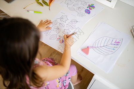小女孩在纸纸上用笔涂着不同种类的叶子微笑乐趣铅笔孩子们镜子艺术品喜悦幼儿园房子女孩图片