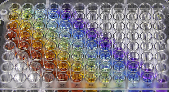 在生物学实验室中特写96个多管板块医疗盘子保健测试化学化验多孔实验样品研究图片