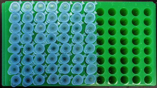 生物学实验室试验管的测试架子化学医疗研究保健样品实验卫生化验背景图片