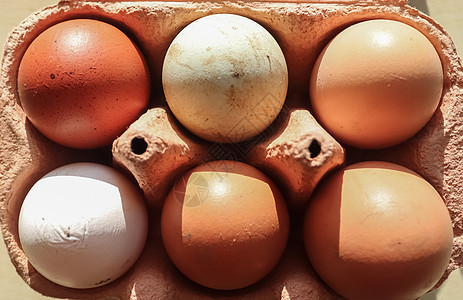 在带有不同颜色鸡蛋的盒子中选择焦点视图产品健康饮食厨房团体早餐蛋盒蛋白饮食脆弱性家禽图片