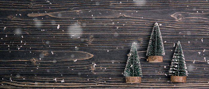 圣诞假日装饰装饰 木头上配有松树锥体小样配件假期网站新年季节横幅礼物桌子图片