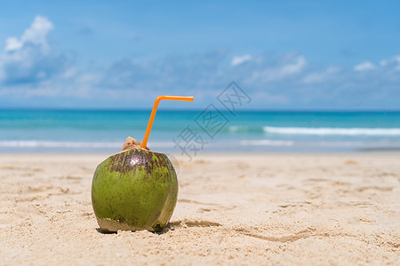 夏天沙滩蓝天的沙子上新鲜椰子可可热带情调蓝色食物稻草海洋旅行水果饮料图片