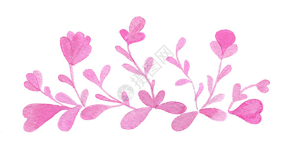 手画水彩花和叶子 白板与白板隔绝婚礼粉色水彩白色插图浪漫艺术绘画图片