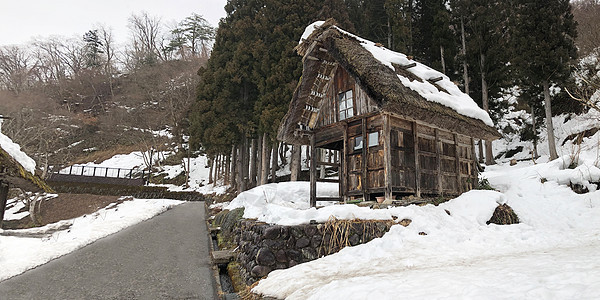 日本Gifu县Shirakawago传统房屋图片