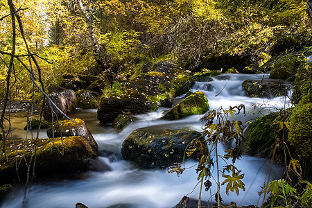 山区河流流过岩石 河流是阿尔泰河 大自然是阿尔泰时间倒影山脉旅游爬坡溪流喷射冒险自然景观旅行图片