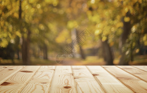 秋天背景图象 秋季公园的木桌图片