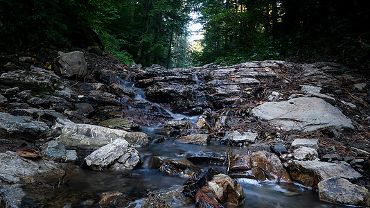 山河在闪光的夏季石块之间流动林地场地丛林植物流床溪流旅行荒野森林叶子背景图片
