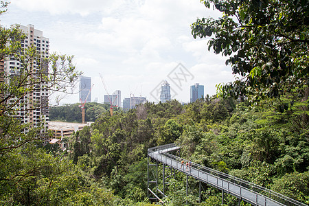 新加坡南脊南岭树冠步行 新加坡山脊纪念碑观光闲暇景点城市摩天大楼森林人行道旅行图片