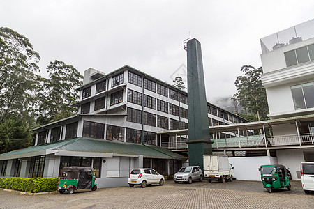 茶厂 斯里兰卡旅行农业植物风景建筑制造业农场场景房子吸引力图片